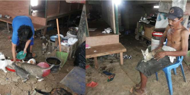 Pemulung Kampung Melayu Rela Tak Makan Demi Puluhan Kucing