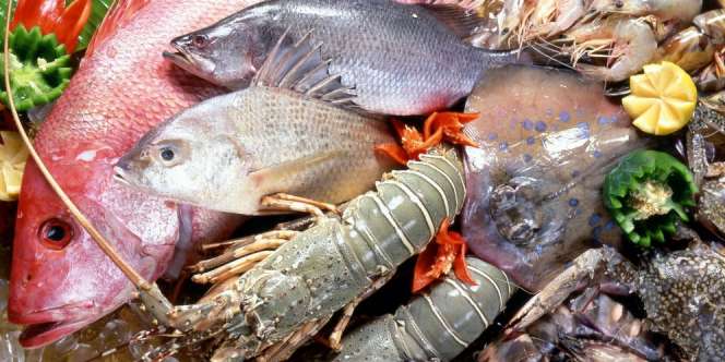 Tips Membeli Makanan Laut Segar