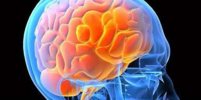 `God Spot`, Saraf Manusia yang Yakini Keberadaan Tuhan