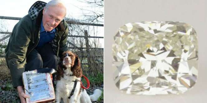 Kakek Mujur, Temukan Cincin Berlian dari Angkasa