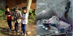 Seminggu Bersama Jasad Ibu