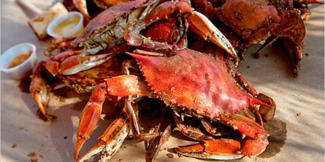 Makan Kepiting: Halal atau Haram?