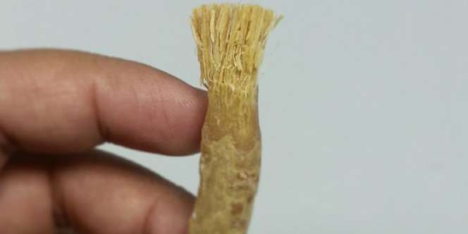 14 Khasiat Siwak untuk Kesehatan