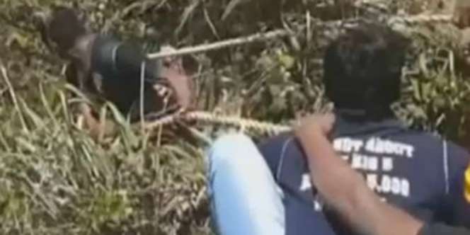 Ajaib! Jatuh dari Ketinggian 1.219 Meter, Pria Ini Selamat