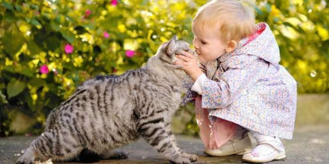 Kisah Kucing Penyelamat Bayi Terlantar