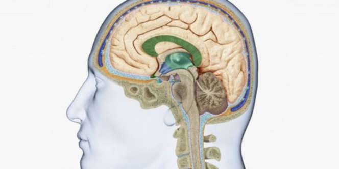 Siapa yang Rentan Terkena Meningitis?