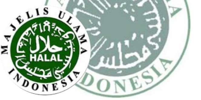 MUI Desak Konflik Yaman Segera Diakhiri