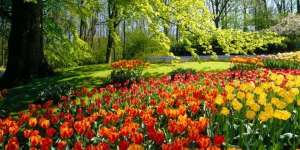 Umat Islam Jaminan Surga?