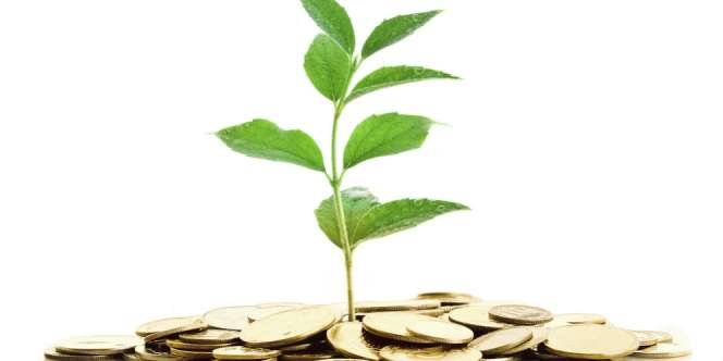 Negara Arab Ini Incar Investasi Pengusaha China