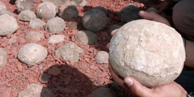 Puluhan Telur Dinosaurus Ditemukan di Lokasi Proyek Bangunan