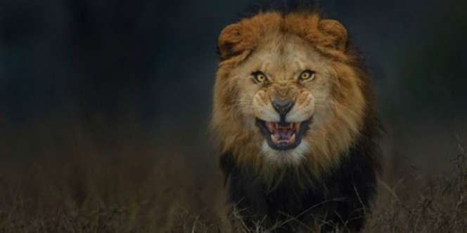 Foto Ini Nyaris Merenggut Nyawa Sang Fotografer