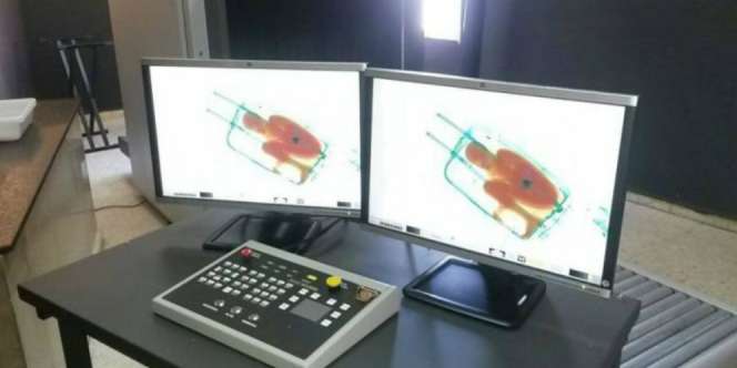 Astaga! Imigrasi Tangkap Bocah Menyelinap dalam Koper 