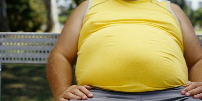 Langkah Cerdas Cegah Obesitas Anak