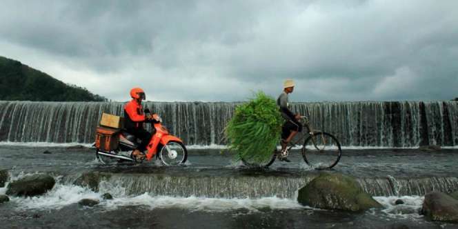 Dua Perusahaan Pos Asing Bakal Beroperasi di Indonesia
