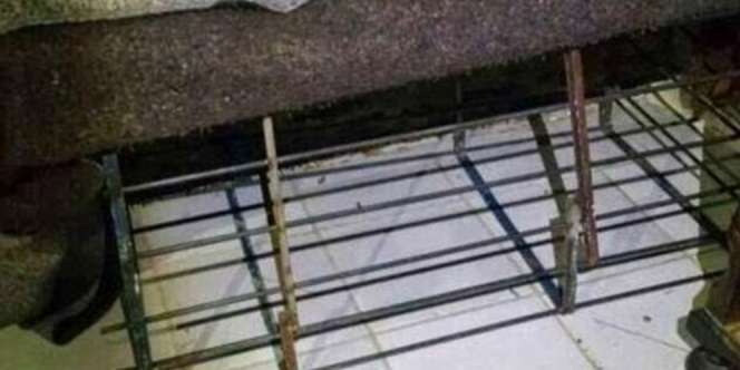 Ayah Kurung Putrinya dalam Kandang Listrik