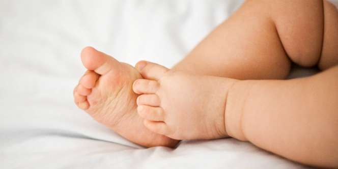 Bayi Terlantar di Hutan Jadi Santapan Semut