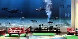 Bill Gates Punya Akuarium Berisi Ikan Paus?