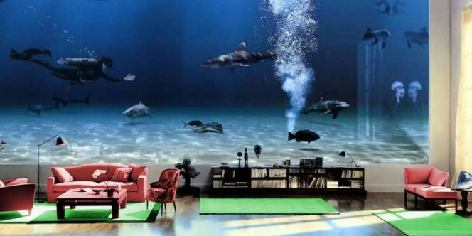 Bill Gates Punya Akuarium Berisi Ikan Paus?