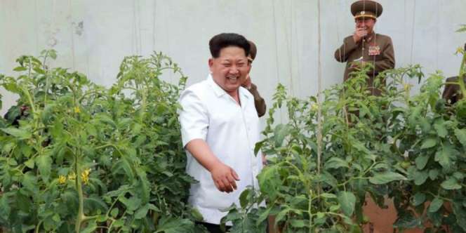 Foto Kim Jong-Un Tertawa Lebar Beredar di Internet