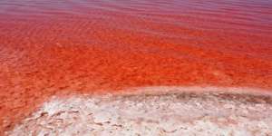 Heboh Danau di Turki Berubah Warna