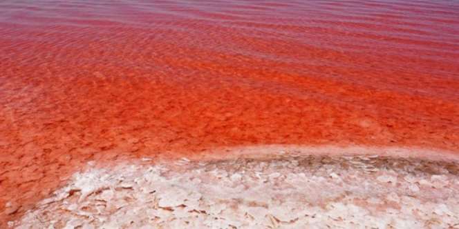 Heboh Danau di Turki Berubah Warna