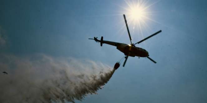 Ancaman Kebakaran Hutan di Sumatera Semakin Merata