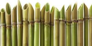 Bambu Runcing, Senjata Ampuh Pejuang Indonesia 