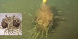 'Tuhan' Agama Pastafarianisme Ditemukan Pekerja Tambang