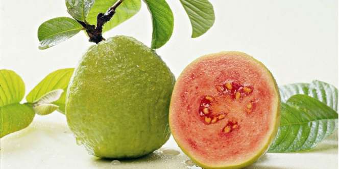 Cegah Kerontokan Rambut dengan Daun Jambu