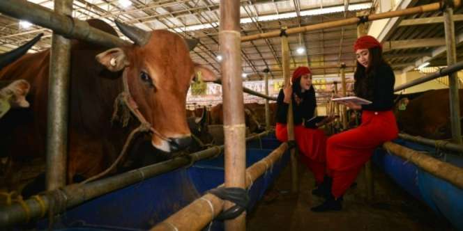 KPPU Endus Adanya Praktik Kartel Daging 24 Perusahaan Besar