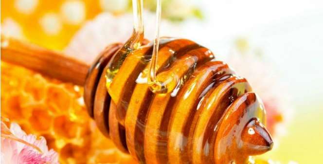 Ini Manfaat Madu Saat Diet