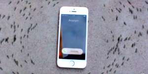 Smartphone Anda Bisa Mengontrol Semut?