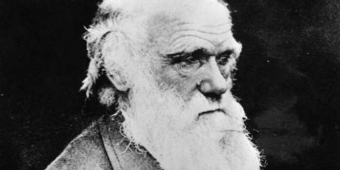 Surat Pengakuan Ateis Charles Darwin Dilelang Rp 1,3 M