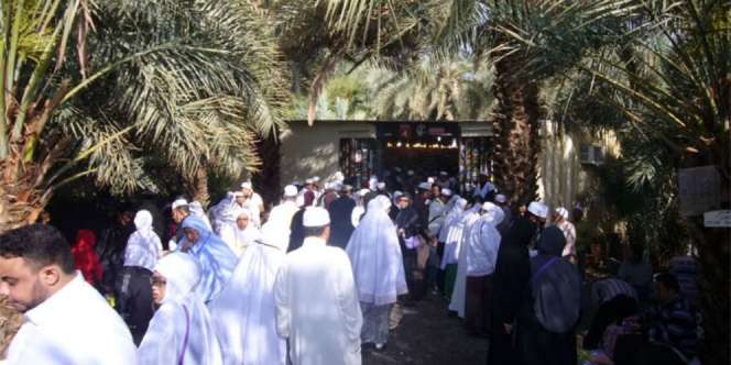 Melihat Zahrani, Kawasan Wisata Kebun Kurma di Madinah