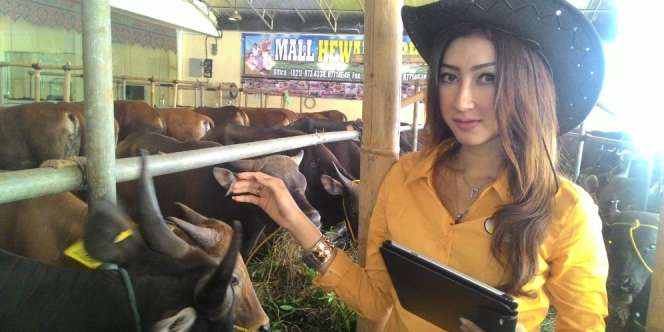 Cerita Para Bidadari di Antara Gerombolan Sapi Kurban