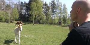 Unik! Pria Ini Bisa Bicara dengan Kuda