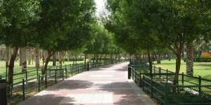 Taman As-Salam, Oase di Jantung Kota Riyadh  