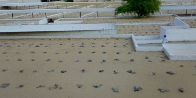 Inilah Maqbarah Hawwa, Makam 'Ibunda' Umat Manusia