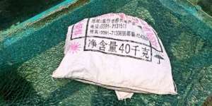 Baru 2 Pekan Dibuka, Jembatan Kaca Tertinggi di Dunia Retak