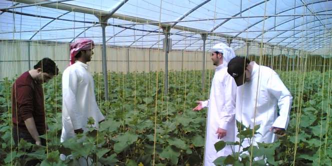 Jasindo Disiapkan Jadi `Dewa Penolong` Buat Petani