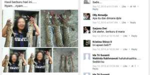 Pamer Buruan Kucing Langka, Wanita Ini Bikin Geger Sosmed