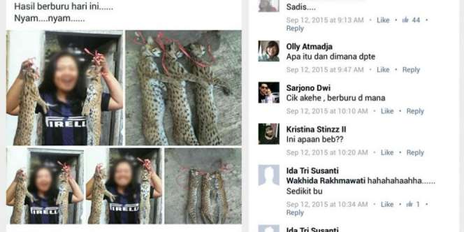 Pamer Buruan Kucing Langka, Wanita Ini Bikin Geger Sosmed