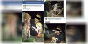 Lagi, Seorang Pemuda Pamer Foto Kuliti Kucing Hutan