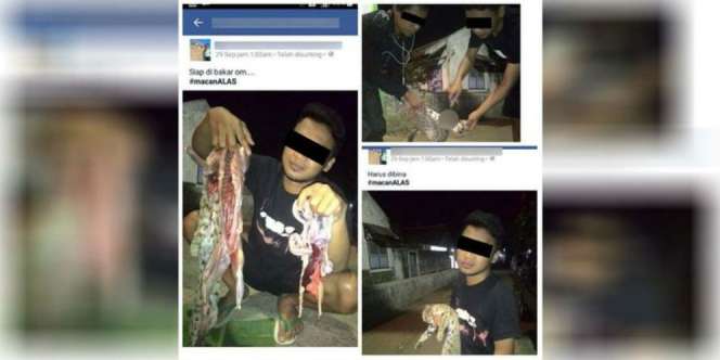 Lagi, Seorang Pemuda Pamer Foto Kuliti Kucing Hutan