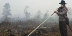 Mayoritas Malaysia, 7 Korporasi Asing Bakar Hutan Indonesia