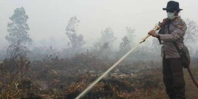 Mayoritas Malaysia, 7 Korporasi Asing Bakar Hutan Indonesia