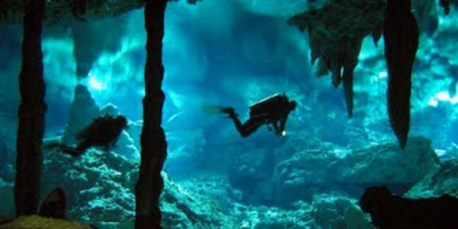 7 `Keajaiban` di Bawah Laut