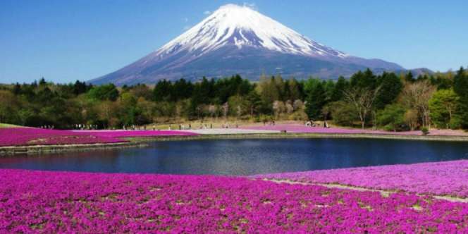 Gaet Wisatawan, Gunung Fuji Bakal Dipasangi Wifi