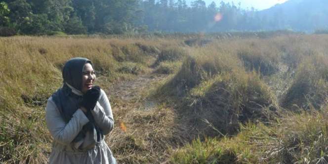 Meisza Adilla: `Weekend` Mengesankan di Gunung Sikunir, Dieng