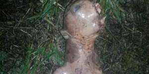 Geger Penemuan `Alien` di Pekarangan Rumah